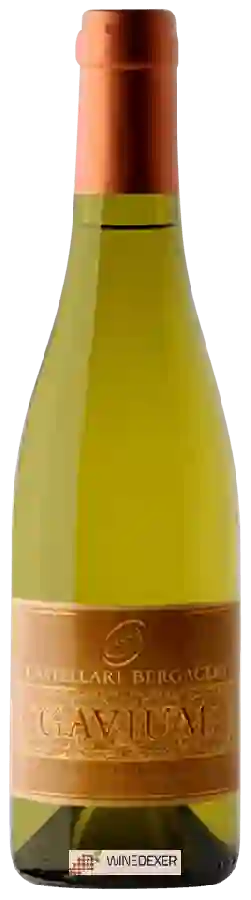 Weingut Castellari Bergaglio - Gavium da Uve Stramature Weingut Castellari Bergaglio - Gavium da Uve Stramature