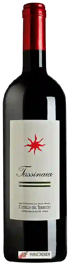 Weingut Castello del Terriccio - Tassinaia