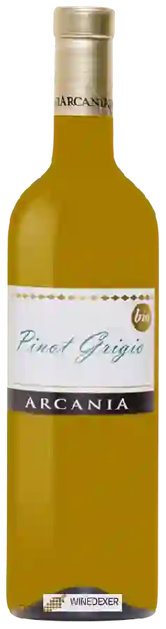 Weingut Castello di Arcania - Pinot Grigio