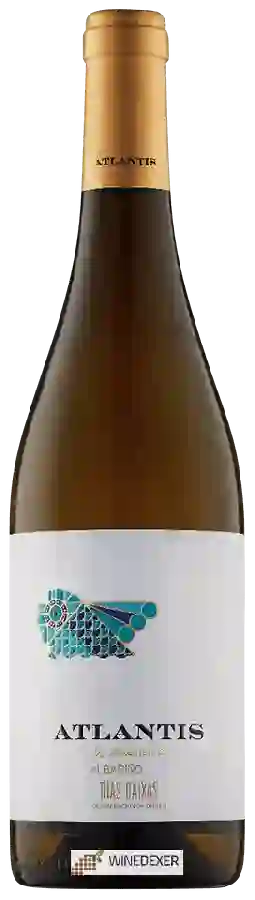 Weingut Castillo de Maetierra - Atlantis Albariño