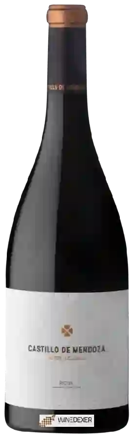 Weingut Castillo de Mendoza - Tinto Autor Ecológico Weingut Castillo de Mendoza - Tinto Autor Ecológico