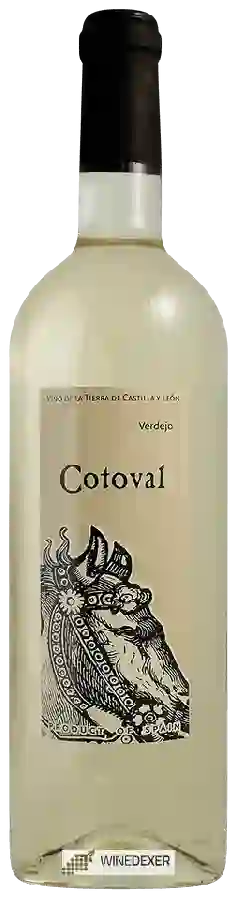 Weingut Casto Pequeno - Cotoval Verdejo Weingut Casto Pequeno - Cotoval Verdejo
