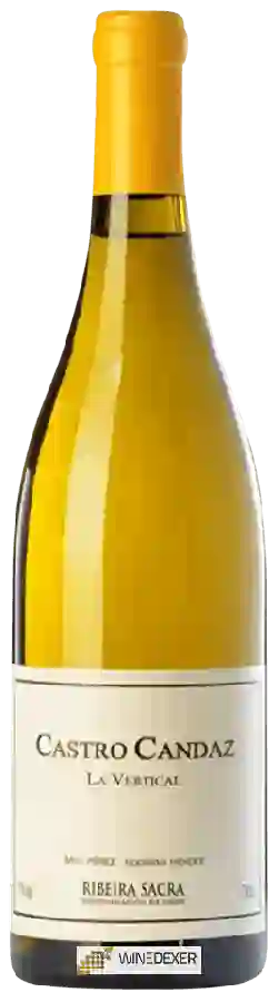 Weingut Castro Candaz - La Vertical