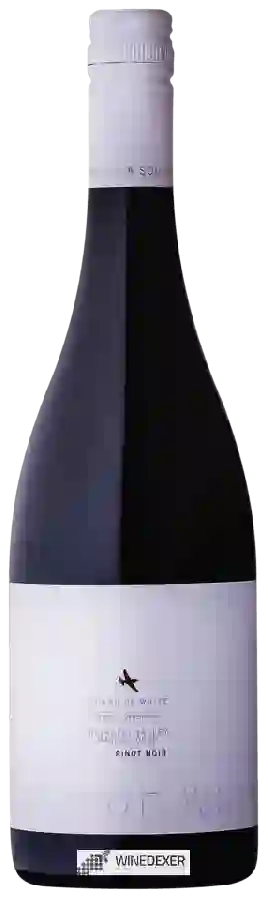 Weingut Catalina Sounds - Sound of White Pinot Noir