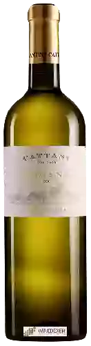 Weingut Cattani - Costa Alta
