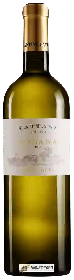 Weingut Cattani - Costa Alta Weingut Cattani - Costa Alta