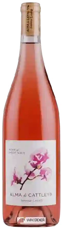 Weingut Cattleya - Alma de Cattleya Rosé of Pinot Noir