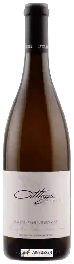 Weingut Cattleya - Chardonnay (Pratt Vineyard)