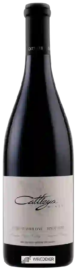 Weingut Cattleya - Cuvée Number One Pinot Noir