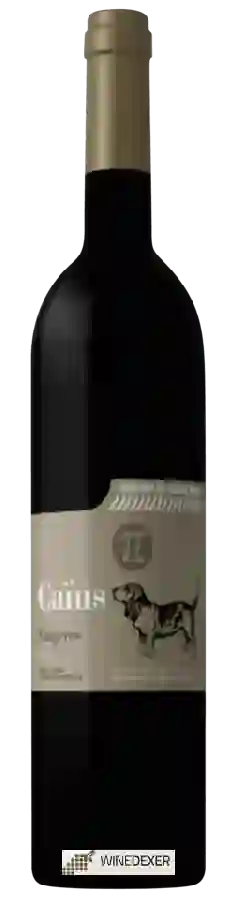 Weingut Causse Noir - Caïus Weingut Causse Noir - Caïus