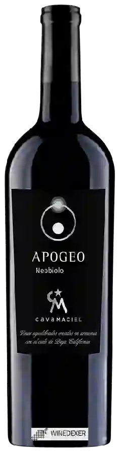 Weingut Cava Maciel - Apogeo Nebbiolo Weingut Cava Maciel - Apogeo Nebbiolo