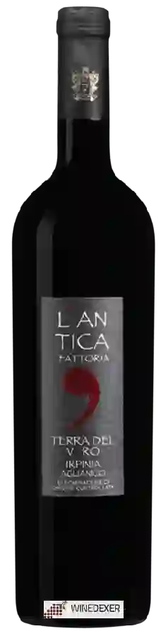 Weingut Cavalier Pepe - L'Antica Fattoria Terra del Varo Aglianico