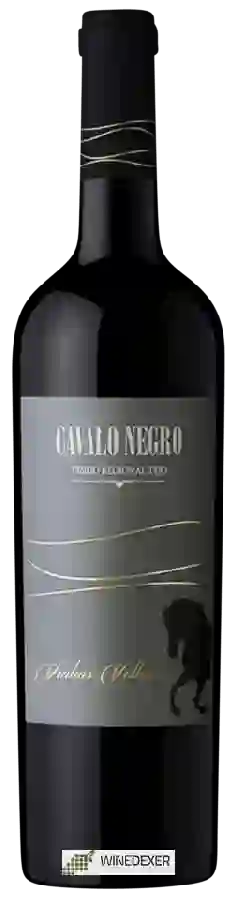 Weingut Cavalo Negro - Vinhas Velhas Weingut Cavalo Negro - Vinhas Velhas