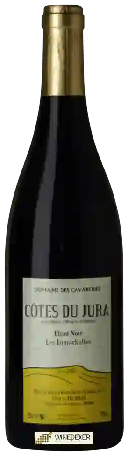 Domaine des Cavarodes - Pinot Noir Côtes du Jura  'Les Lumachelles'