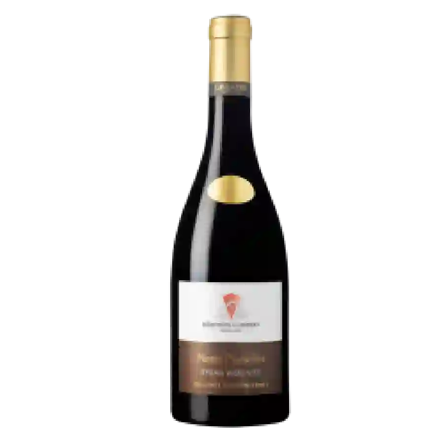 Cave de Tain - Notes Plurielles Syrah - Viognier Cave de Tain - Notes Plurielles Syrah - Viognier