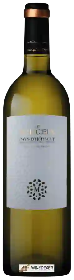 Cave des Vignerons de Saint-Chinian - Le Malicieux Blanc Cave des Vignerons de Saint-Chinian - Le Malicieux Blanc