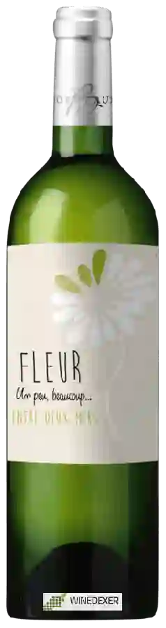 Caves de Rauzan - Fleur Entre-deux-Mers Caves de Rauzan - Fleur Entre-deux-Mers