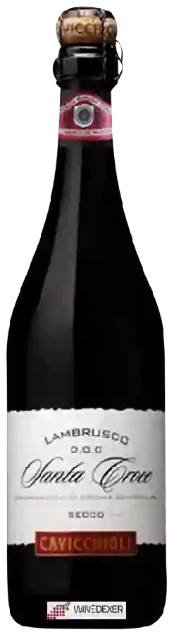 Weingut Cavicchioli - Lambrusco Salamino di Santa Croce Secco