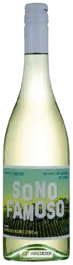 Weingut Caviro - Sono Famoso Weingut Caviro - Sono Famoso