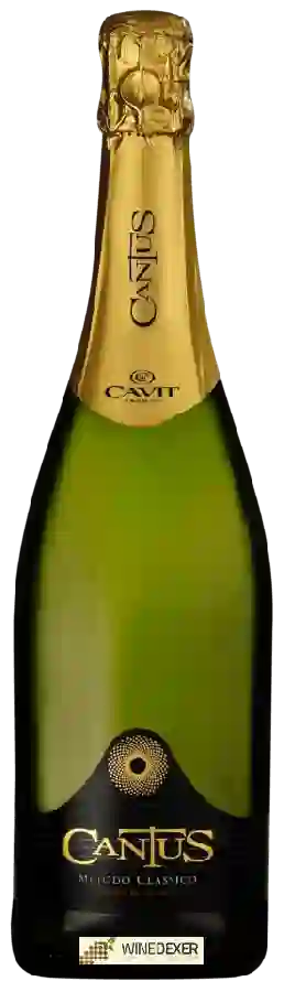Weingut Cavit - Cantus Trento