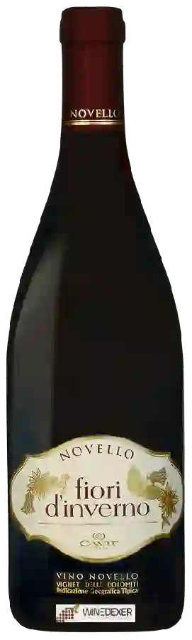 Weingut Cavit - Fiori d'Inverno Novello Weingut Cavit - Fiori d'Inverno Novello