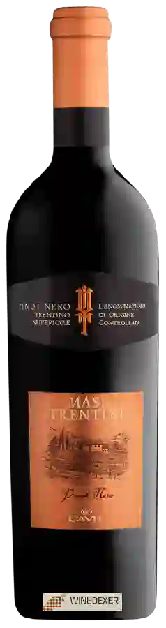 Weingut Cavit - I Masi Trentini Pinot Nero Trentino Superiore