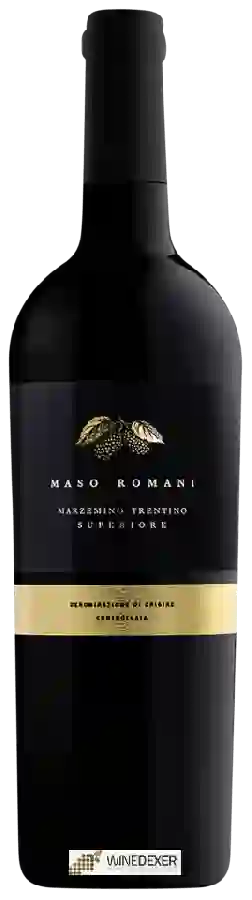 Weingut Cavit - Maso Romani Marzemino Trentino Superiore