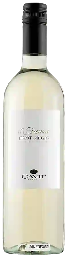 Weingut Cavit - Pinot Grigio d'Arcana