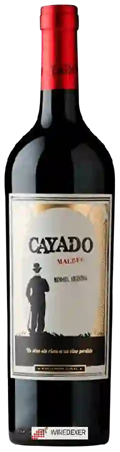 Weingut Eduardo Vidal - Cayado Malbec Weingut Eduardo Vidal - Cayado Malbec