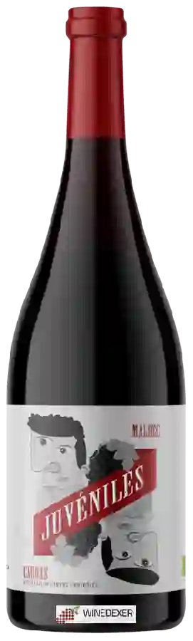 Château du Cèdre - Juvéniles Malbec Château du Cèdre - Juvéniles Malbec