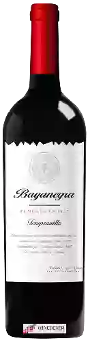 Weingut Celaya - Bayanegra Tempranillo