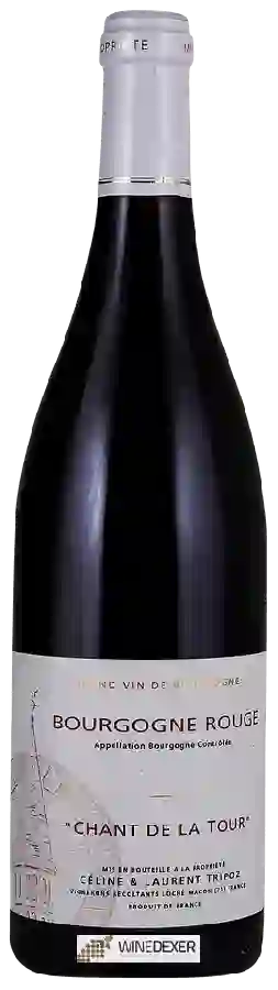 Weingut Celine & Laurent Tripoz - Chant de la Tour Bourgogne Rouge Weingut Celine & Laurent Tripoz - Chant de la Tour Bourgogne Rouge
