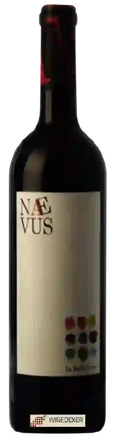 Weingut Celler la Bollidora - Naevus Weingut Celler la Bollidora - Naevus