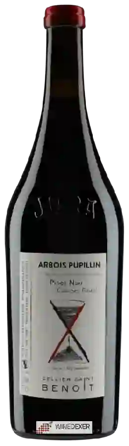 Weingut Cellier Saint Benoit - Pinot Noir Courbes Raies Arbois Pupillin