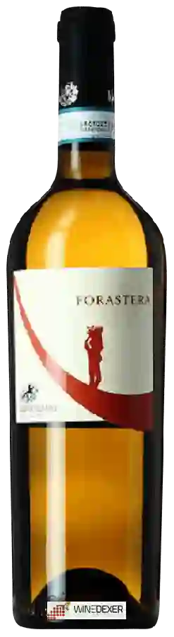 Weingut Cenatiempo - Forastera Weingut Cenatiempo - Forastera