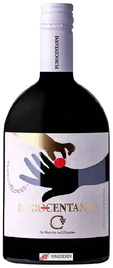 Weingut Centanni - Purocentanni Weingut Centanni - Purocentanni
