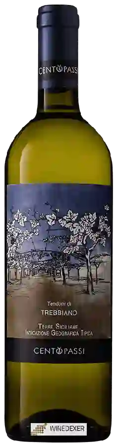 Weingut Centopassi - Tendoni di Trebbiano Weingut Centopassi - Tendoni di Trebbiano