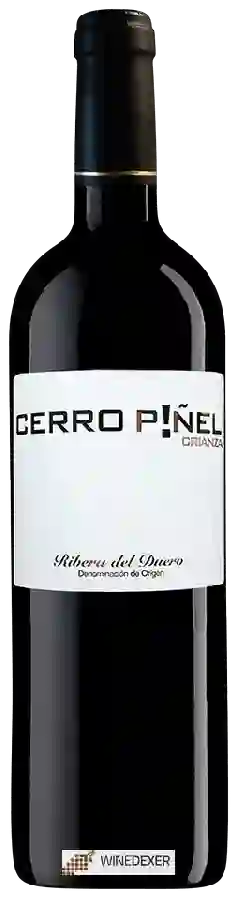 Weingut Cerro Piñel - Crianza
