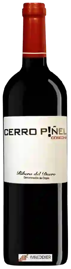 Weingut Cerro Piñel - Joven Weingut Cerro Piñel - Joven