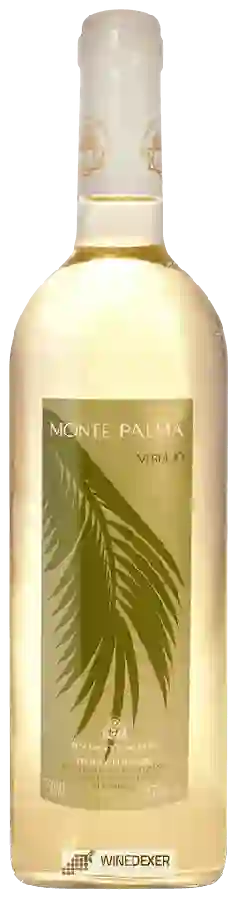 Weingut Cerrosol - Monte Palma Verdejo
