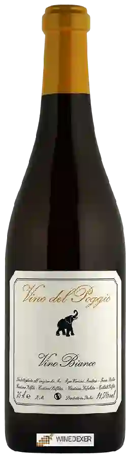 Weingut Andrea Cervini - Vino del Poggio Bianco