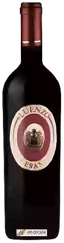 Weingut Cesani - Luenzo