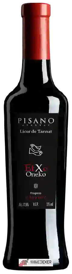Weingut Pisano - Etxe Oneko Tannat Licor