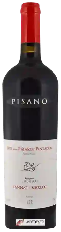 Weingut Pisano - Rio de Los Pájaros Pintados Reserva Tannat - Merlot Weingut Pisano - Rio de Los Pájaros Pintados Reserva Tannat - Merlot