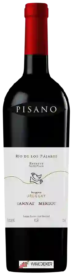 Weingut Pisano - Rio de Los Pájaros Reserve Merlot - Tannat
