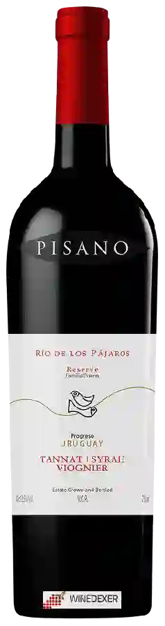 Weingut Pisano - Rio de Los Pajaros Reserve Tannat - Syrah - Viognier