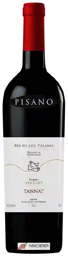 Weingut Pisano - Río de Los Pájaros Reserve Tannat