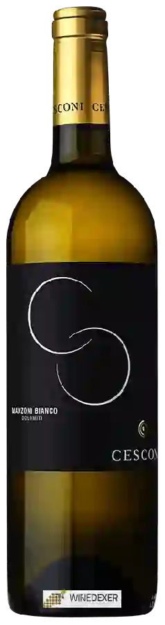 Weingut Cesconi - Manzoni Bianco