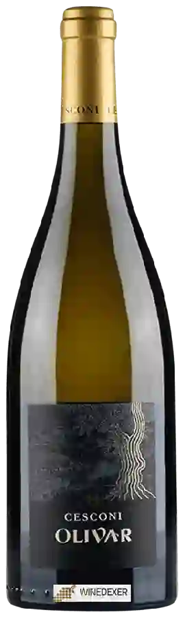 Weingut Cesconi - Olivar Weingut Cesconi - Olivar