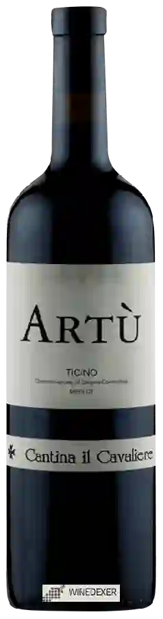 Weingut Cantina Il Cavaliere - Artù Merlot Weingut Cantina Il Cavaliere - Artù Merlot